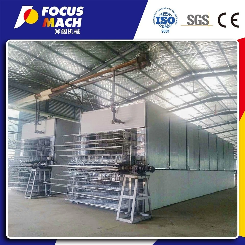 Low Consumption High Working Efficiency Wood Veneer Dryer Machine