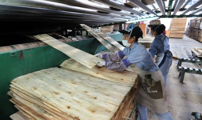 news-684-406 news-684-406