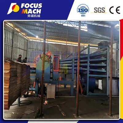 32 m 4 paluba Biomass Veneer Suring Line